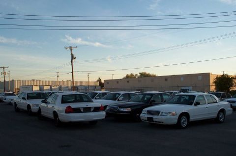 1998 Ford Crown Victoria - A look at the back of the lot. (semi-large pic)