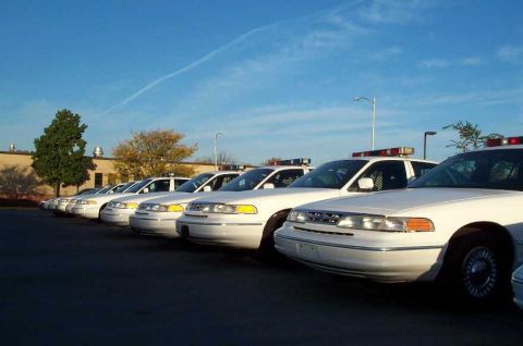 1998 Ford Crown Victoria - A row of mainly '95s, still with all of their police equipment including cages.