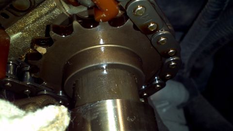 1996 Ford Taurus - Close-up view of a camshaft sprocket and timing chain, with the Supermotors.net logo in the lower right corner.