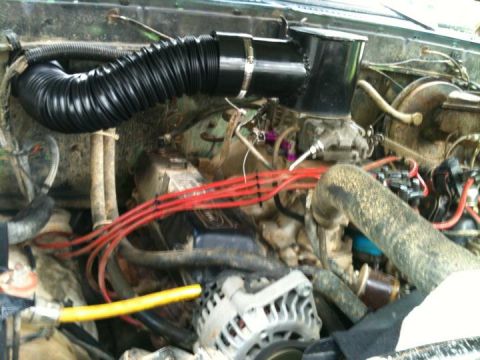 1979 Ford Bronco photo