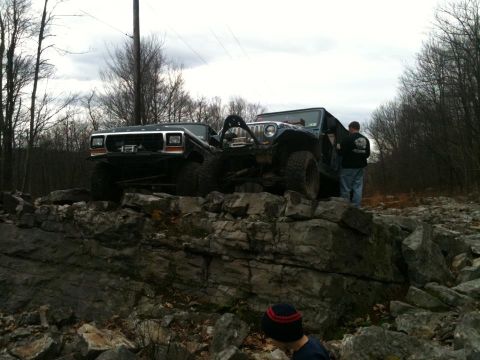 1979 Ford Bronco photo