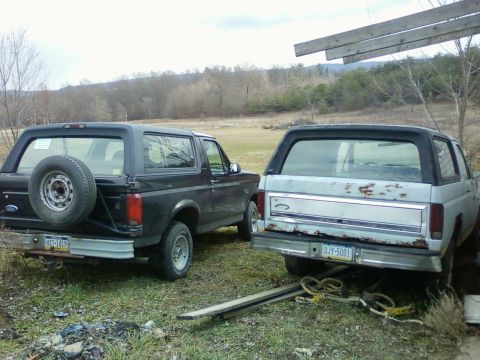 1984 Ford Bronco photo