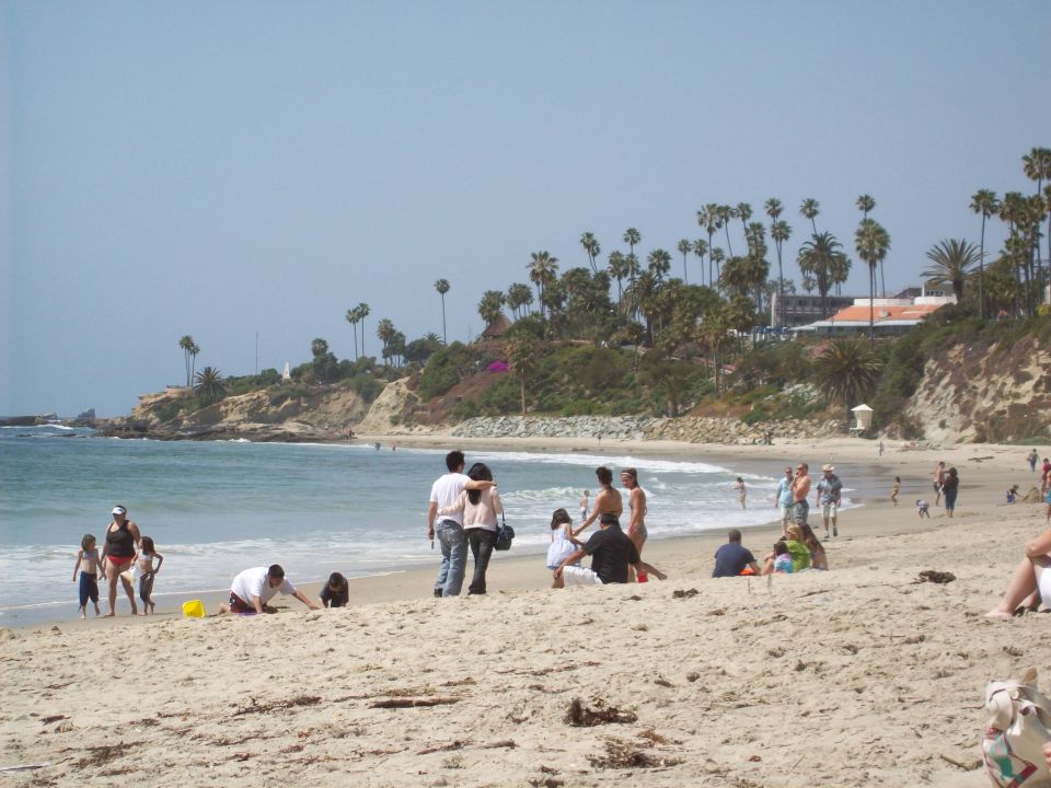 People relaxing on a sandy beach with palm trees and ocean waves