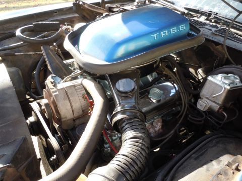 1982 Chevrolet Camaro - Close-up of a car's engine bay, a blue air cleaner lid with "TA 6.6" lettering.