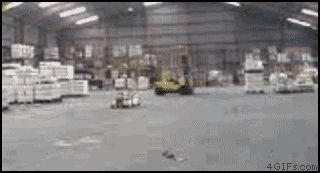 2000 Mercury Grand Marquis - A forklift operates in a large warehouse, moving goods around the storage area.
