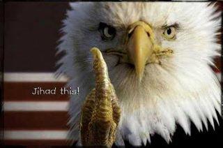2000 Mercury Grand Marquis - An eagle appears to be giving the middle finger with the American flag in the background.