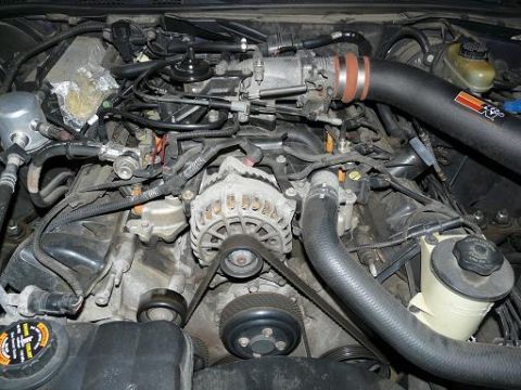 1999 Ford Crown Victoria - Engine bay of a 1999 Ford Crown Victoria, showing the intake system and alternator.