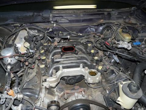 1999 Ford Crown Victoria - Close-up view of an engine's intake manifold system, showing intricate plumbing and wiring.