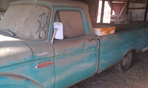 1965 Ford F-100 photo