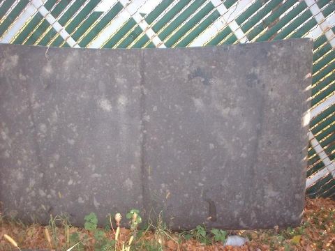 1993 Ford Bronco - A close-up of a vehicle hood, showing its texture and some dirt marks.