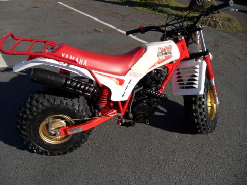 1994 Jeep Cherokee - This Yamaha 200 3-wheel ATV features a red seat, red rack, and gold rims.