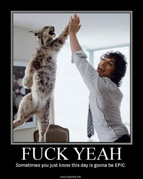 1990 Ford Probe - A man and a lynx give each other a high five, celebrating an epic day.