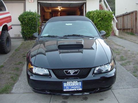 2004 Ford Mustang photo