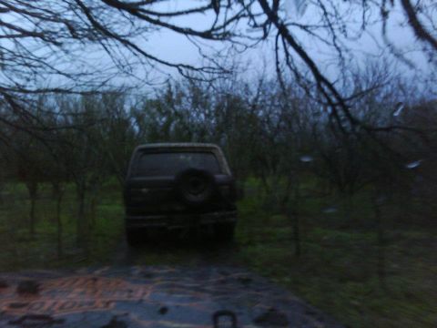 1989 Ford Bronco - The rear view of an SUV is visible in a wooded area under a cloudy sky.