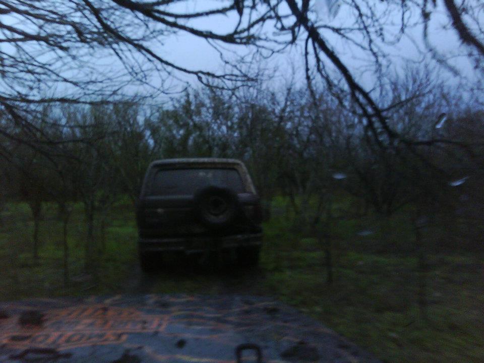 SUV parked in a field with trees around it. Spare tire mounted on the rear door