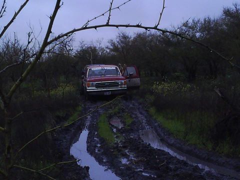 1989 Ford Bronco - A red pickup truck navigates a challenging muddy path, its driver's door ajar amidst overgrown vegetation.