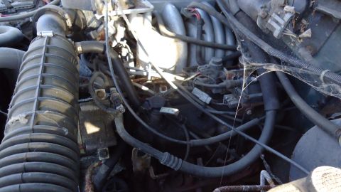 1996 Ford Bronco - The engine compartment shows a complex arrangement of hoses, wires, and the air intake system.