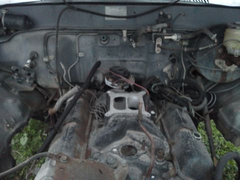 1988 Toyota Hilux - Engine bay components including hoses, wiring, and engine block are visible in this photo.