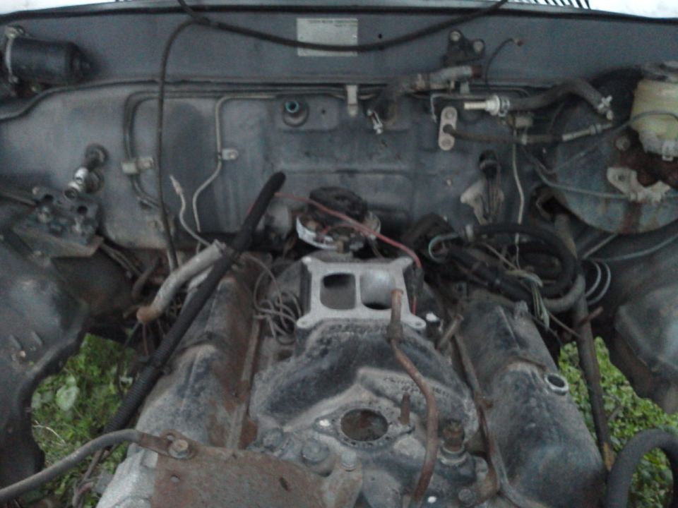 Engine bay with engine components visible, hoses, and wiring