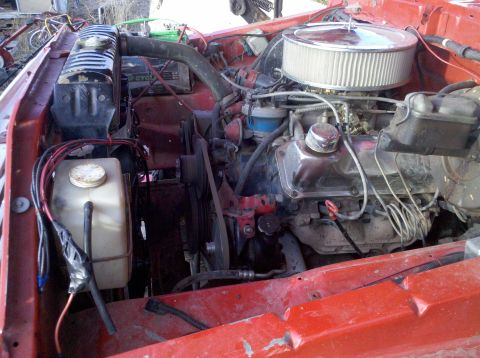 1979 Ford Bronco - Close-up view of a V8 engine bay, the air filter, radiator, and various engine components.
