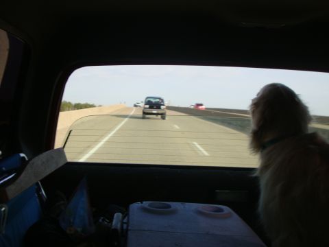 1995 Ford Bronco - Harley watching Mike
