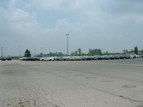 2000 Ford Crown Victoria - A large lot filled with numerous Ford Crown Victoria sedans, likely awaiting distribution or sale.