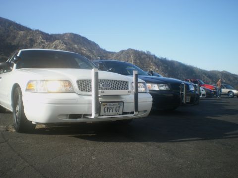 2004 Ford Crown Victoria - A line of Ford Crown Victorias are parked on a sunny day with mountains in the background.