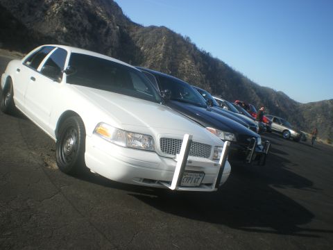 2004 Ford Crown Victoria - A line of police cars, including a white 2004 Ford Crown Victoria with a push bumper, are parked on a road with mountains in the background.