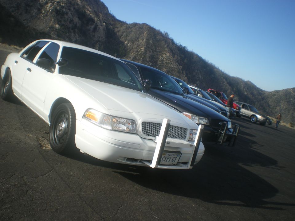 White 2004 Ford Crown Victoria police car with push bumper, parked in a line