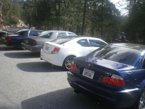 2004 Ford Crown Victoria - Several cars are parked in a line on a road with trees in the background.
