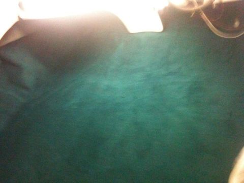 1978 Chevrolet Camaro - Close-up of green interior carpet, likely from a vehicle.