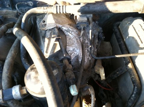 1997 Ford F-250 - Close-up view of engine bay components, including hoses and electrical connectors.