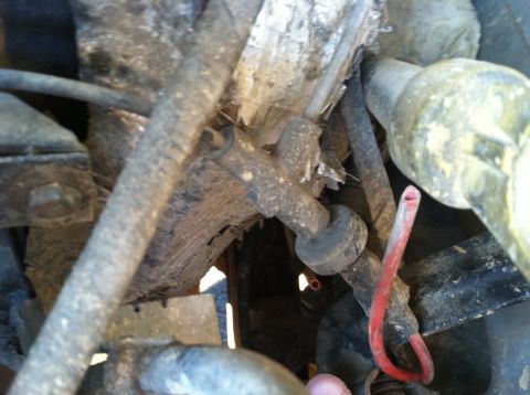 1997 Ford F-250 - A close-up view of various hoses and wiring within an engine bay, showing mechanical components.