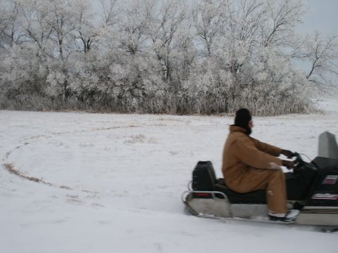 1971 Arctic Cat Panther 440 2-Pass - A snowmobile navigates a snow-covered field with frosted trees lining the horizon.