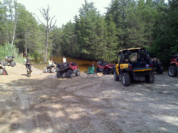 Yellow side-by-side vehicle and ATVs parked on sand near water and trees