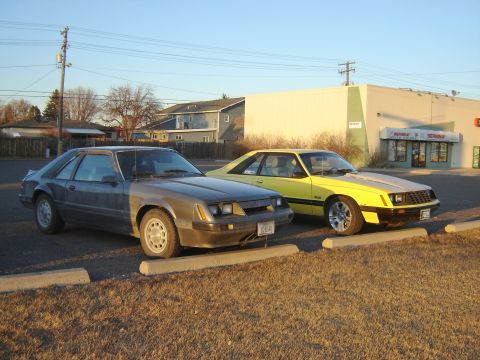 1986 Ford Mustang photo