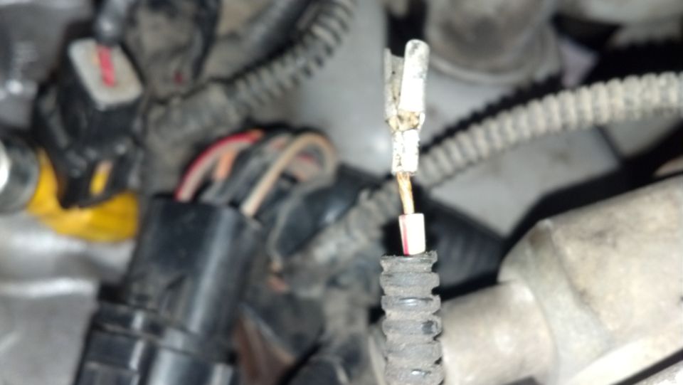 Damaged electrical connector with exposed copper wire and white plastic insulator.