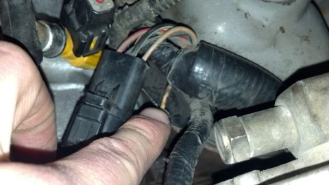 1992 Ford Bronco - Engine wiring harness and fuel injector detail.