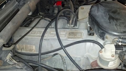 1992 Ford Bronco - Close-up of a Ford 5.0L engine valve cover, showing hoses and wiring.