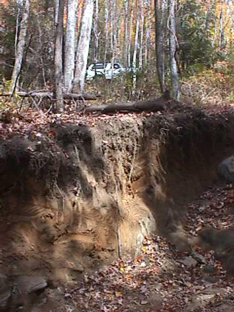 1996 Ford Bronco - A white SUV is visible through trees, with a large dirt cliff in the foreground.