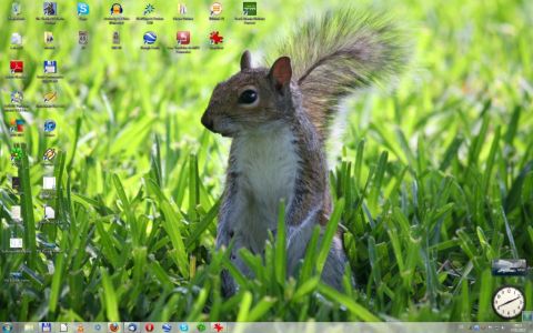 1999 Lincoln Town Car - A squirrel sits in the grass, with a computer desktop interface visible above it.