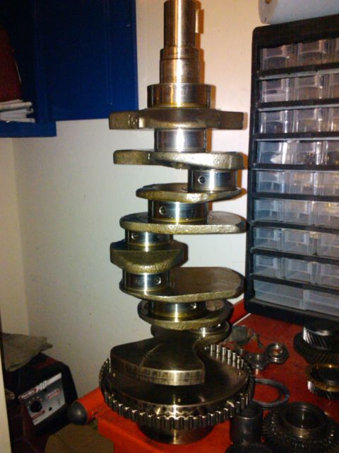 2003 Hyundai Tiburon - Engine crankshaft shown in detail, with a parts organizer in the background.