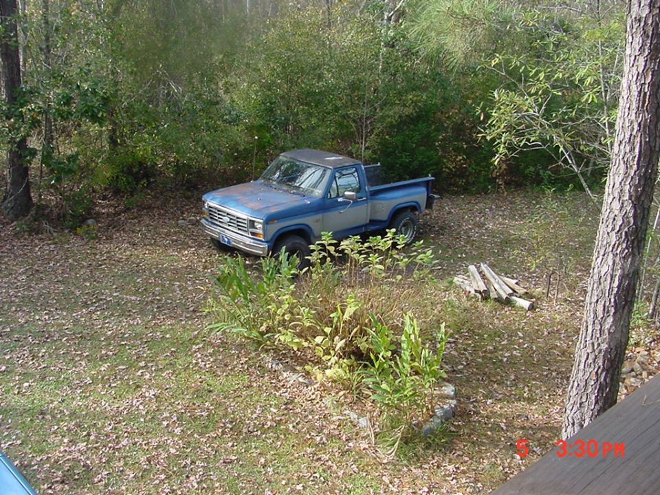 1985 Ford F-150 pickup truck, nicknamed "Blueboy", parked in a wooded area.