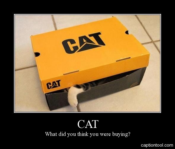 Cat paw emerging from a CAT branded box