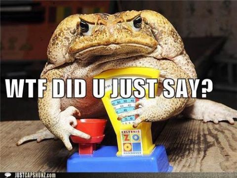 2000 Mercury Grand Marquis - A toad appears displeased while sitting on a toy scale with text overlay.