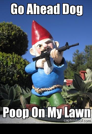 2000 Mercury Grand Marquis - A garden gnome stands guard with a rifle, warning against lawn-related offenses.