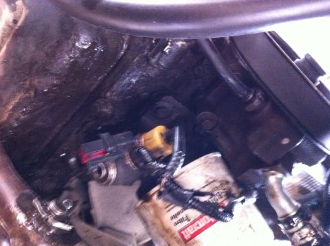 1998 Ford Crown Victoria - Close-up view of the alternator and power steering pump assembly, including a Ford oil filter.