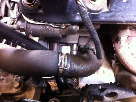 1998 Ford Crown Victoria - This image shows a section of an engine, focusing on hoses and mechanical parts, with visible grime and some text on a hose.