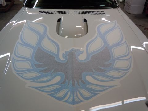 1973 Pontiac Firebird photo