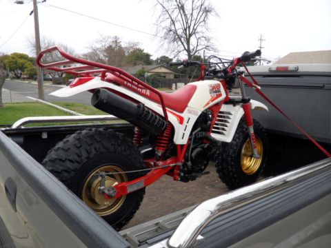 1994 Jeep Cherokee - A red and white three-wheeled ATV is secured for transport in the bed of a pickup truck.